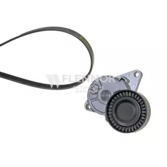 FLENNOR F905PK0948 - Jeu de courroies trapézoïdales à nervures