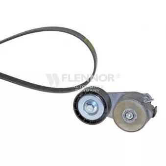 FLENNOR F905PK1173 - Jeu de courroies trapézoïdales à nervures