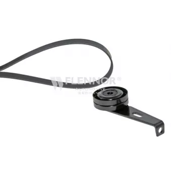FLENNOR F906PK1113 - Jeu de courroies trapézoïdales à nervures