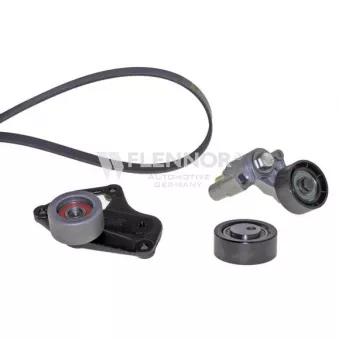 FLENNOR F916PK1725 - Jeu de courroies trapézoïdales à nervures