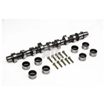 Jeu d'arbres à came AMC OEM 1350154050