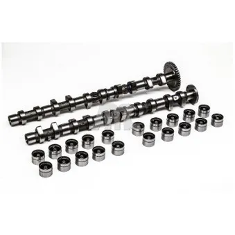 Jeu d'arbres à came AMC OEM 6120501601