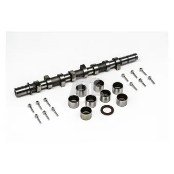 Jeu d'arbres à came AMC OEM 8200089894