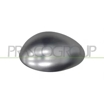 Revêtement, rétroviseur extérieur PRASCO OEM 156079642