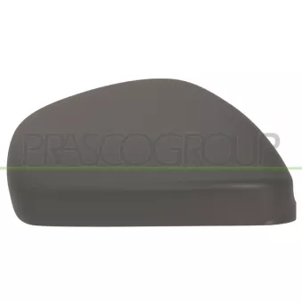Rétroviseur extérieur PRASCO OEM 156091420