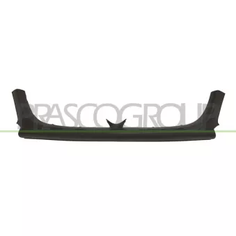 Baguette et bande protectrice, pare-chocs PRASCO AA3461245