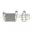 Intercooler, échangeur PRASCO [AD020N003]