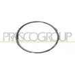 PRASCO AD0381247 - Cadre, projecteur antibrouillard