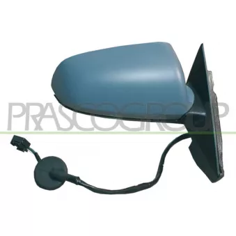 Rétroviseur extérieur PRASCO OEM 8P1858531G01C
