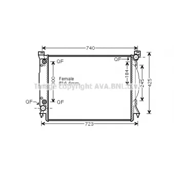 PRASCO AI2246 - Radiateur, refroidissement du moteur