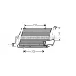 Intercooler, échangeur PRASCO [AI4218]