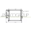 PRASCO BM010R030 - Radiateur, refroidissement du moteur