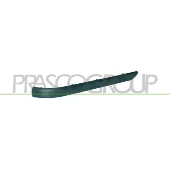 PRASCO BM0201253 - Baguette et bande protectrice, pare-chocs arrière droit