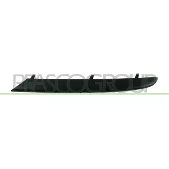 Baguette et bande protectrice, grille de radiateur avant gauche PRASCO OEM 51117134091