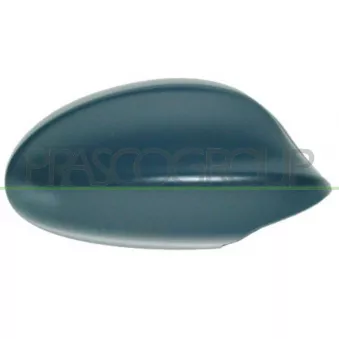 Revêtement, rétroviseur extérieur PRASCO BM0247413