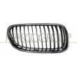 PRASCO BM0252043 - Grille de radiateur avant droit