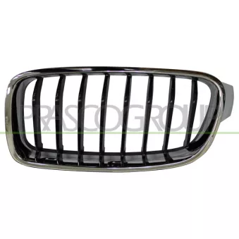 Grille de radiateur PRASCO BM0282024