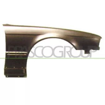 PRASCO BM0423003 - Aile avant droit