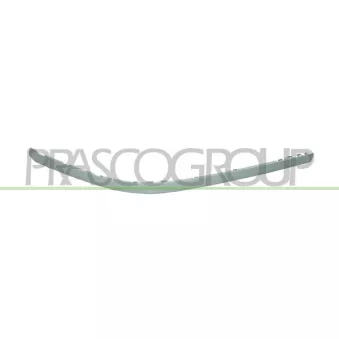 Baguette et bande protectrice, pare-chocs avant gauche PRASCO OEM 51117005957