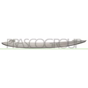 Baguette et bande protectrice, grille de radiateur PRASCO OEM 51117231859