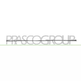 PRASCO BM0501245 - Baguette et bande protectrice, pare-chocs