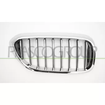 Grille de radiateur avant droit PRASCO BM0522003