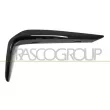 PRASCO BM0531223 - Baguette et bande protectrice, pare-chocs avant droit