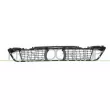 PRASCO BM0552130 - Grille de ventilation, pare-chocs