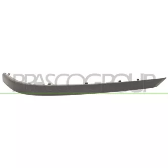 PRASCO BM0991253 - Baguette et bande protectrice, pare-chocs arrière droit