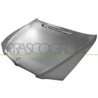 PRASCO BM1003100 - Capot-moteur