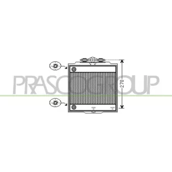 PRASCO BM101R005 - Radiateur, refroidissement du moteur