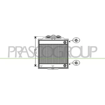 PRASCO BM101R008 - Radiateur, refroidissement du moteur