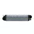 PRASCO BM703N001 - Intercooler, échangeur