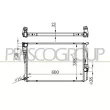 Radiateur, refroidissement du moteur PRASCO [BM804R001]