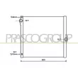 PRASCO BM822R001 - Radiateur, refroidissement du moteur