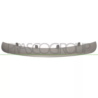 Baguette et bande protectrice, pare-chocs PRASCO BM8241245