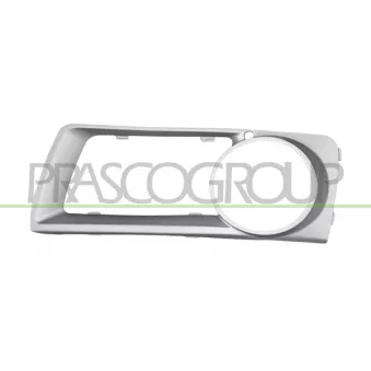 Baguette et bande protectrice, grille de radiateur PRASCO OEM 51117312595