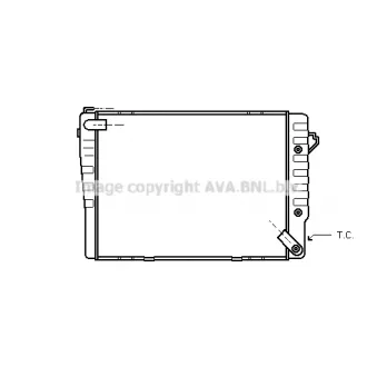 PRASCO BW2038 - Radiateur, refroidissement du moteur
