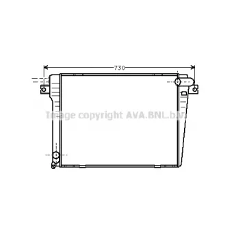 PRASCO BW2061 - Radiateur, refroidissement du moteur