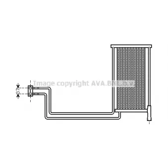 PRASCO BW3368 - Radiateur d'huile de boîte automatique