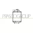 PRASCO CI201R003 - Radiateur, refroidissement du moteur