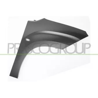 PRASCO CI9243013 - Aile avant droit