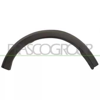 Élargissement, aile avant gauche PRASCO OEM 8200526644