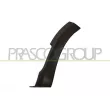 Baguette et bande protectrice, aile avant gauche PRASCO [DA2261572]