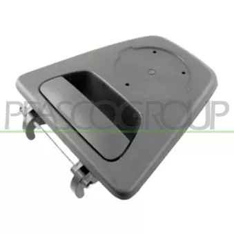 Poignée extérieure de porte PRASCO OEM 9345000A0A