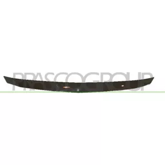 Baguette et bande protectrice, grille de radiateur PRASCO DA3222206