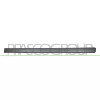 Baguette et bande protectrice, porte avant droit PRASCO OEM 808201969r