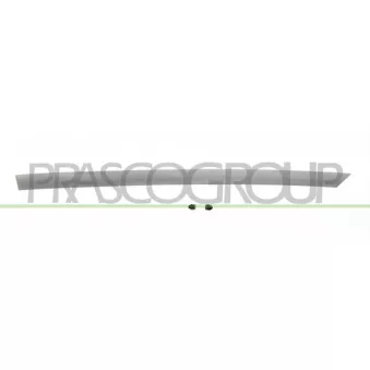 Baguette et bande protectrice, porte arrière gauche PRASCO OEM 828216198r