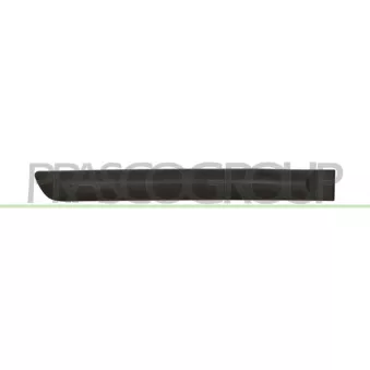 Baguette et bande protectrice, porte arrière droit PRASCO DA4201453