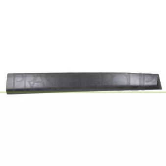 PRASCO DA7301404 - Baguette et bande protectrice, porte avant gauche